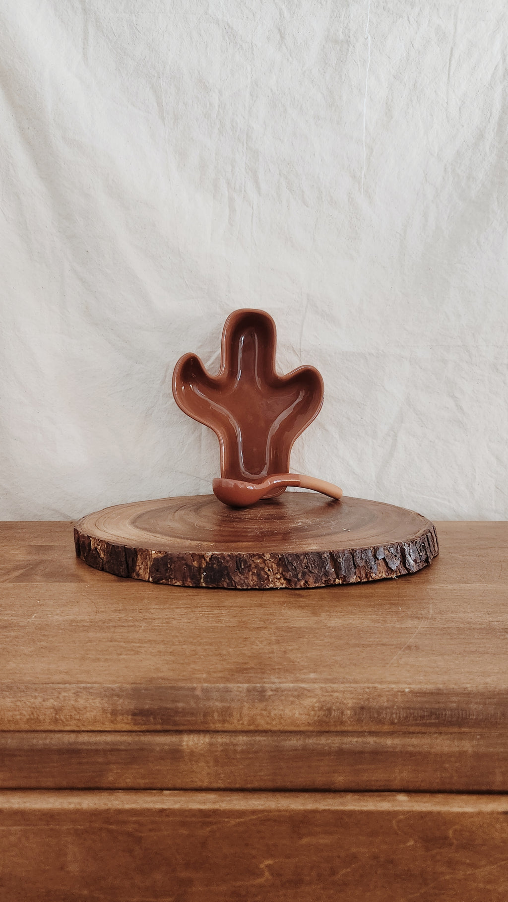 Terracotta Glazed Cactus Bowl | Serving Dish | Desert Cactus | Home Kitchen