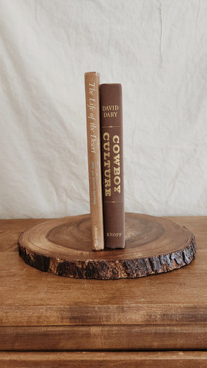 Vintage Cowboy and Desert Coffee Table Books | Decrative Books | Staging Books