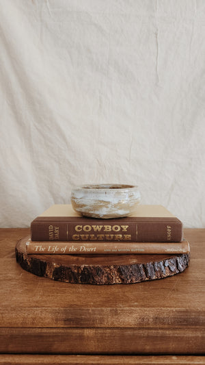 Vintage Cowboy and Desert Coffee Table Books | Decrative Books | Staging Books